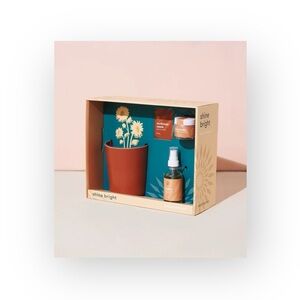 new Modern Sprout ⚘ Shine Bright Radiant Positivity Gift Grow Kit ⚘ Terracotta ⚘
